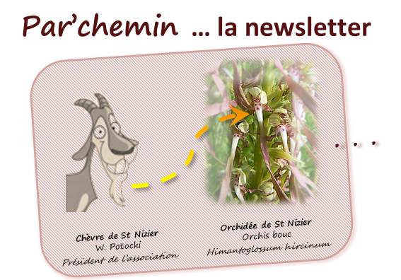 NewsLetter Par'chemin