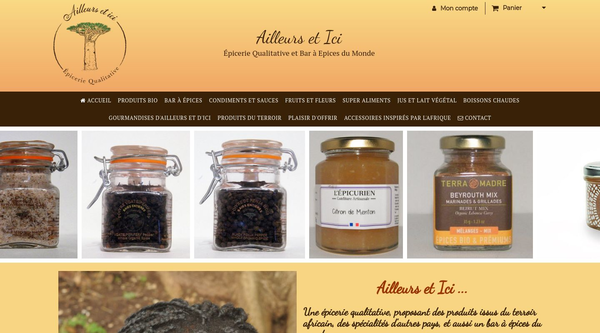 Exemples de sites internet avec CmonSite