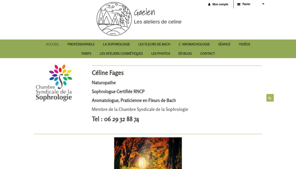 Exemples de sites internet avec CmonSite