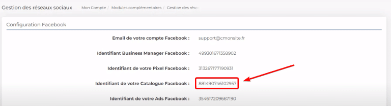 Capture d'écran de l'identifiant du catalogue Facebook