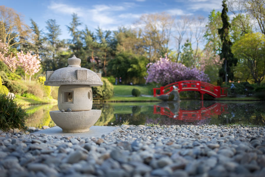 Jardin japonais